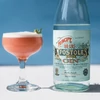 Gin Principe de Los Apostoles (0,7l)(53%)