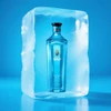 Star of Bombay Gin