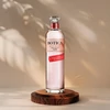 Botica Rosa Gin 