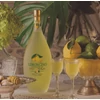 Bottega Limoncino Alla Grappa 