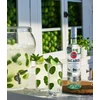 Rum Bacardi Carta Blanca