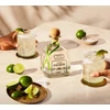 Patrón Silver Tequila poharakkal