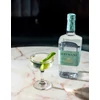  Hayman's Old Tom Gin