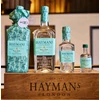  Hayman's Old Tom Gin méretek