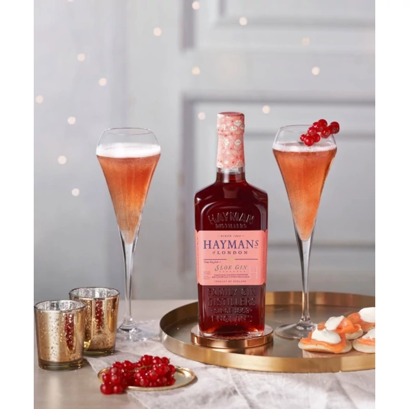 Hayman's Sloe Gin 